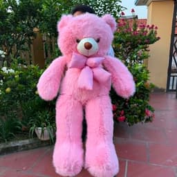 Gấu Bông Teddy Lông Tiểu Kim Phom To Đẹp – Mềm Mịn, Gối Ôm Êm Ái, Quà Tặng Người Yêu 1