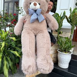 Gấu Bông Teddy Lông Tiểu Kim Phom To Đẹp – Mềm Mịn, Gối Ôm Êm Ái, Quà Tặng Người Yêu 7