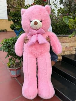 Gấu Bông Teddy Lông Tiểu Kim Phom To Đẹp – Mềm Mịn, Gối Ôm Êm Ái, Quà Tặng Người Yêu 4