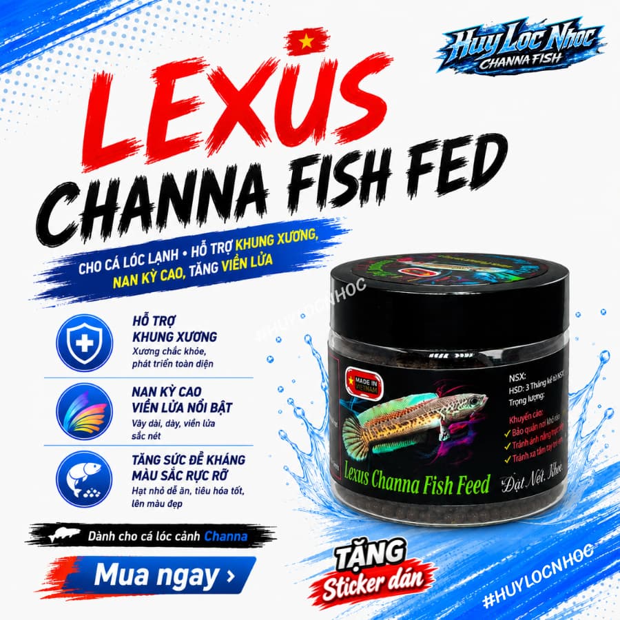 Cám LEXUS PRO+ FOR AURANTI 4mm25g Cho Cá Lóc Nữ Hoàng - Thức Ăn Chuyên Dụng Cho Nữ Hoàng, Hỗ Trợ Viền Trắng Và Mờ Batik