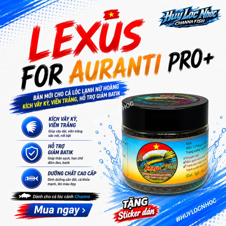 Cám LEXUS PRO+ FOR AURANTI 1mm25g Cho Cá Lóc Nữ Hoàng - Thức Ăn Chuyên Dụng Cho Nữ Hoàng, Hỗ Trợ Viền Trắng Và Mờ Batik