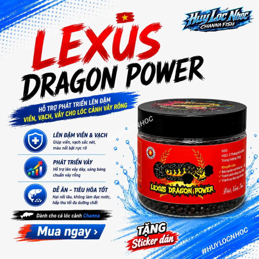 Cám LEXUS Channa Fish Feed Cho Cá Lóc Lạnh, Hỗ Trợ Khung Xương, Nan Kỳ Cao, Tăng Viền Lửa