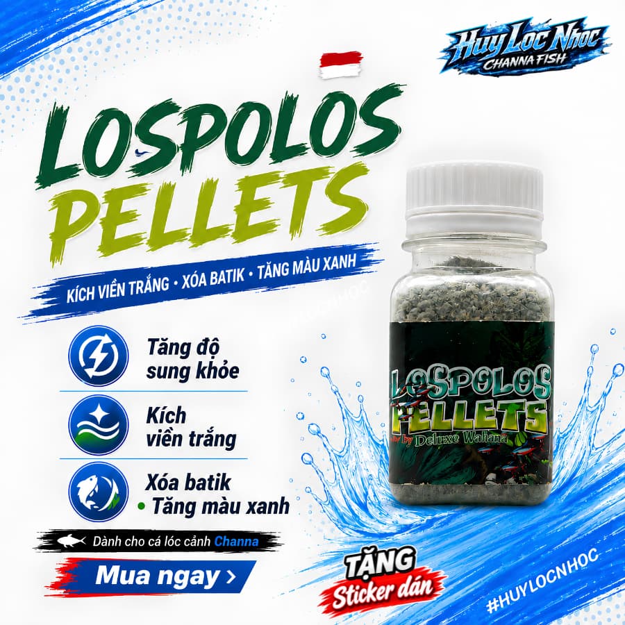 Cám LOSPOLOS 25g Nhập Khẩu Indonesia | Kích Viền Trắng, Xóa Batik, Tăng Màu Xanh Cho Cá Lóc Lạnh