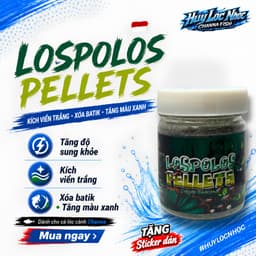 Cám LOSPOLOS 50g Nhập Khẩu Indonesia | Kích Viền Trắng, Xóa Batik, Tăng Màu Xanh Cho Cá Lóc Lạnh 1