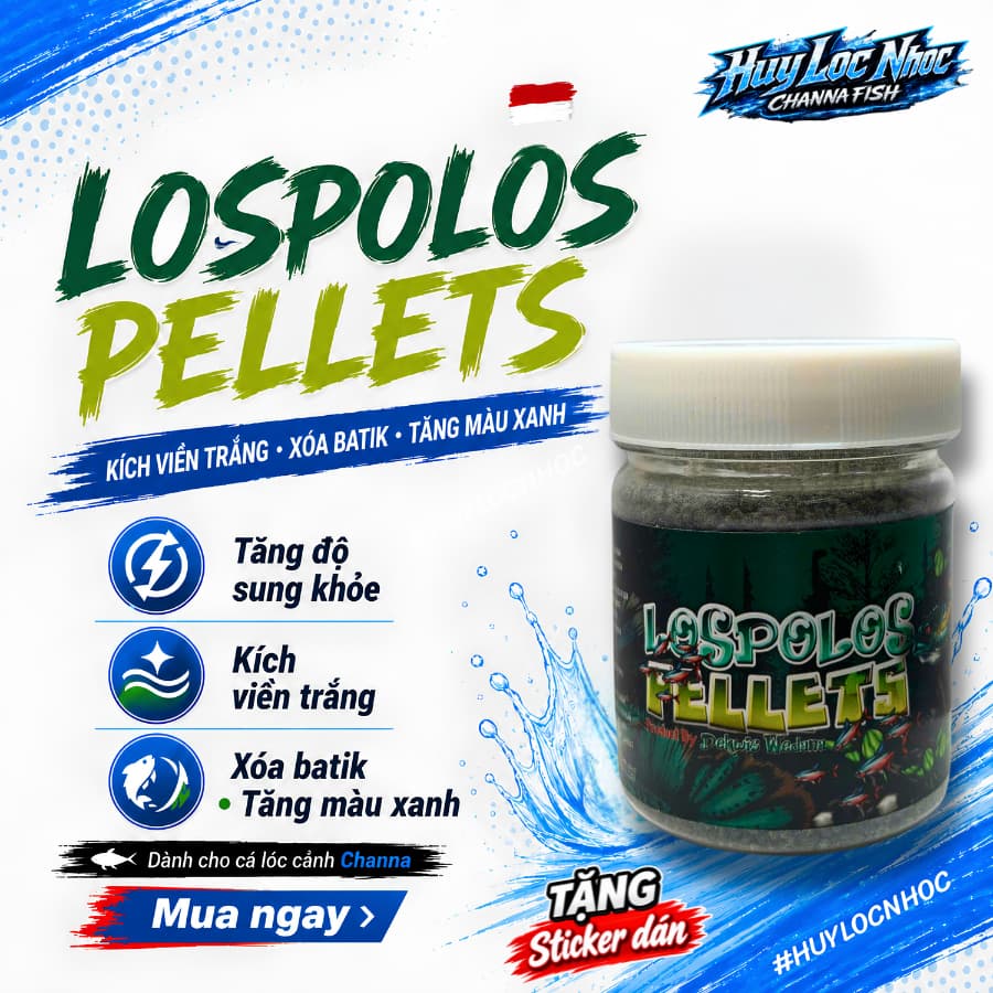 Cám LOSPOLOS 50g Nhập Khẩu Indonesia | Kích Viền Trắng, Xóa Batik, Tăng Màu Xanh Cho Cá Lóc Lạnh