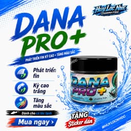 Cám DANA PRO+ Cho Cá Lóc Lạnh - Hỗ Trợ Phát Triển Fin Kỳ Cao, Tăng Màu Sắc Cho Nữ Hoàng, Barca, Andrao 1