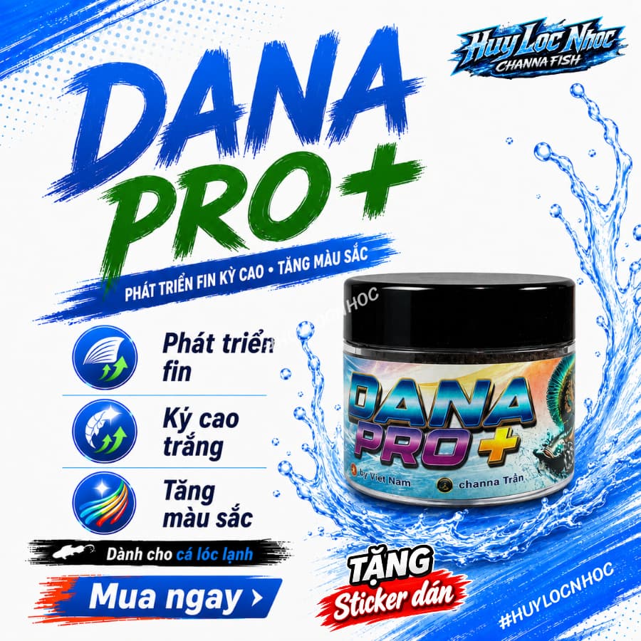 Cám DANA PRO+ Cho Cá Lóc Lạnh - Hỗ Trợ Phát Triển Fin Kỳ Cao, Tăng Màu Sắc Cho Nữ Hoàng, Barca, Andrao