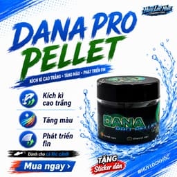 Cám DANA PRO Cho Cá Lóc Lạnh - Hỗ Trợ Phát Triển Fin Kỳ Cao, Tăng Màu Sắc Cho Nữ Hoàng, Barca, Andrao 1