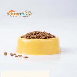 [Túi 5kg] Thức Ăn Cho Mèo Hello Cat Tuna Vị Cá Ngừ, Hạt Dinh Dưỡng Cho Mèo Mọi Lứa Tuổi, Clever Fish Store 9