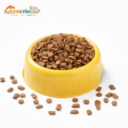 [Túi 5kg] Thức Ăn Cho Mèo Hello Cat Tuna Vị Cá Ngừ, Hạt Dinh Dưỡng Cho Mèo Mọi Lứa Tuổi, Clever Fish Store 8