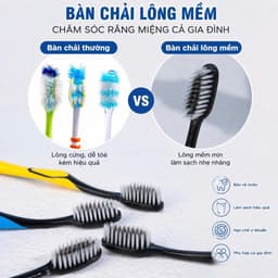 Set 10 Bàn Chải Đánh Răng Bossi 921 - Bàn Chải Than Tre Than Hoạt Tính Siêu Sỉ 3