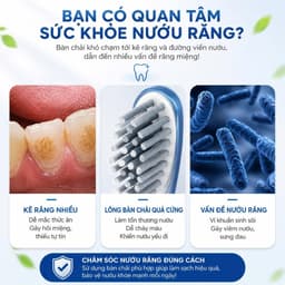 Set 10 Bàn Chải Đánh Răng Bossi 921 - Bàn Chải Than Tre Than Hoạt Tính Siêu Sỉ 4