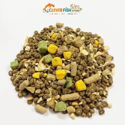 [TÚI 5KG] Hạt Cho Mèo S2PET V2 PLUS Siêu TOPPING 50% - Kích Thích Thèm Ăn, Phù Hợp Mọi Lứa Tuổi, Clever Fish Store 3