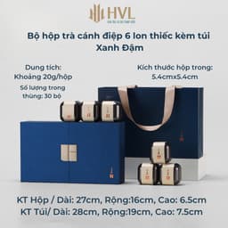 Bộ hộp đựng trà cánh điệp 6 lon thiếc kèm túi xách cao cấp hộp quà tặng biếu Tết xanh đỏ vàng 1
