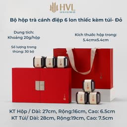 Bộ hộp đựng trà cánh điệp 6 lon thiếc kèm túi xách cao cấp hộp quà tặng biếu Tết xanh đỏ vàng 2