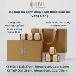 Bộ hộp đựng trà cánh điệp 6 lon thiếc kèm túi xách cao cấp hộp quà tặng biếu Tết xanh đỏ vàng 3