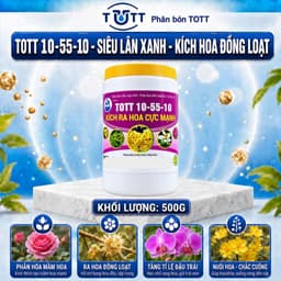 Phân bón kích ra hoa cực mạnh, npk 10-55-10 hủ 100g TOTT's fertilizer 8