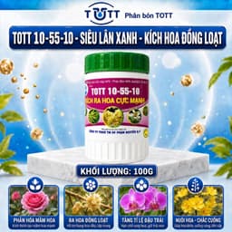 Phân bón kích ra hoa cực mạnh, npk 10-55-10 hủ 100g TOTT's fertilizer 1