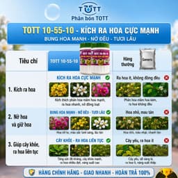 Phân bón kích ra hoa cực mạnh, npk 10-55-10 hủ 100g TOTT's fertilizer 5