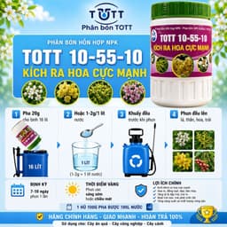 Phân bón kích ra hoa cực mạnh, npk 10-55-10 hủ 100g TOTT's fertilizer 6