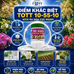 Phân bón kích ra hoa cực mạnh, npk 10-55-10 hủ 100g TOTT's fertilizer 3