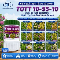 Phân bón kích ra hoa cực mạnh, npk 10-55-10 hủ 100g TOTT's fertilizer 4