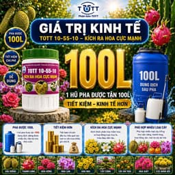 Phân bón kích ra hoa cực mạnh, npk 10-55-10 hủ 100g TOTT's fertilizer 2