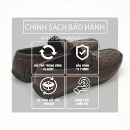 GIÀY NAM DA BÒ, HAI GAM MÀU KINH ĐIỂN DÀNH CHO QUÝ ÔNG YÊU SỰ LỊCH LÃM MC-6505 9