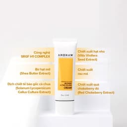Kem dưỡng cân bằng ẩm phục hồi chống lão hóa Ahohwa Premium Solution Recovery Active Volume Cream 5