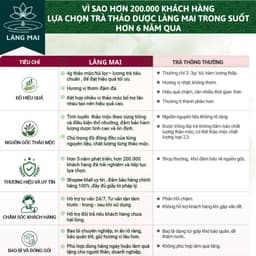Trà điều kinh Mâm Xôi - Làng Mai - Giảm đau bụng kinh, da xấu, khí huyết kém, hỗ trợ u nang tử cung, nội tiết nữ 7