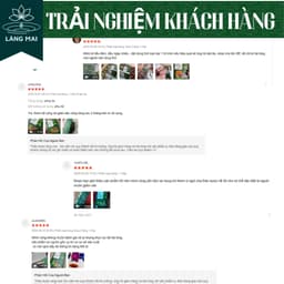 Trà búp ổi 4 vị - Làng Mai -Lấy lại vóc dáng eo con kiến, vị thanh mát, dịu nhẹ, thơm  dễ uống hộp gồm 30 túi 9