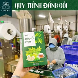 Trà búp ổi 4 vị - Làng Mai -Lấy lại vóc dáng eo con kiến, vị thanh mát, dịu nhẹ, thơm  dễ uống hộp gồm 30 túi 8