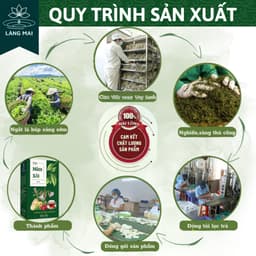 Trà búp ổi 4 vị - Làng Mai -Lấy lại vóc dáng eo con kiến, vị thanh mát, dịu nhẹ, thơm  dễ uống hộp gồm 30 túi 7