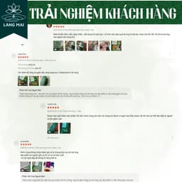 Trà Tiêu Gút (Gout) - Làng Mai - Đào Thải Axit Uric, Giảm Nguy Cơ Viêm Khớp Gout 6