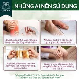 Trà Tiêu Gút (Gout) - Làng Mai - Đào Thải Axit Uric, Giảm Nguy Cơ Viêm Khớp Gout 4