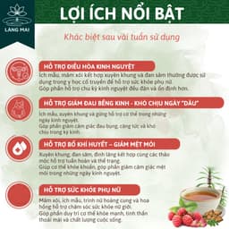 Trà điều kinh Mâm Xôi - Làng Mai - Giảm đau bụng kinh, da xấu, khí huyết kém, hỗ trợ u nang tử cung, nội tiết nữ 2