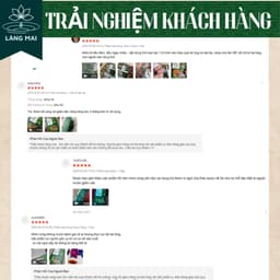 Trà Thảo Mộc Ba Kích Ngọc Cẩu - Làng Mai - 7 Vị thảo dược Trà Túi Lọc, Hộp 30 túi lọc 9