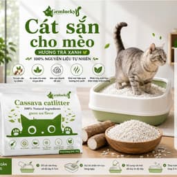 "Combo 4 gói Cát Sắn Gemlucky: Siêu Thấm Hút, Khử Mùi, Không Bụi – Giải Pháp Rẻ Tiết Kiệm Cho Mèo!" 4