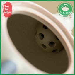 Ấm trà dáng tây thi gốm Đức Hóa họa tiết hồ điệp 220ml 5