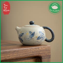 Ấm trà dáng tây thi gốm Đức Hóa họa tiết hồ điệp 220ml 1