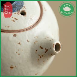Ấm trà dáng tây thi gốm Đức Hóa họa tiết hồ điệp 220ml 6