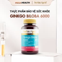 Viên Uống Ginkgo Biloba 6000 Herbs of Gold – Hỗ Trợ Tuần Hoàn Máu Não, Tăng Cường Tập Trung, Giảm Mệt Mỏi – Hộp 60 Viên 1