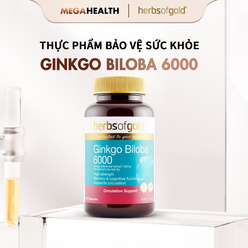Viên Uống Ginkgo Biloba 6000 Herbs of Gold – Hỗ Trợ Tuần Hoàn Máu Não, Tăng Cường Tập Trung, Giảm Mệt Mỏi – Hộp 60 Viên
