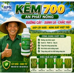 NANO KẼM 700 | AN PHÁT NÔNG CHAI 250ML - DƯỠNG CÂY, XANH LÁ,.. 1
