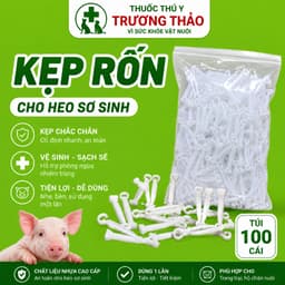 Kẹp rốn heo con nhựa an toàn, bền chắc, tiện lợi 1