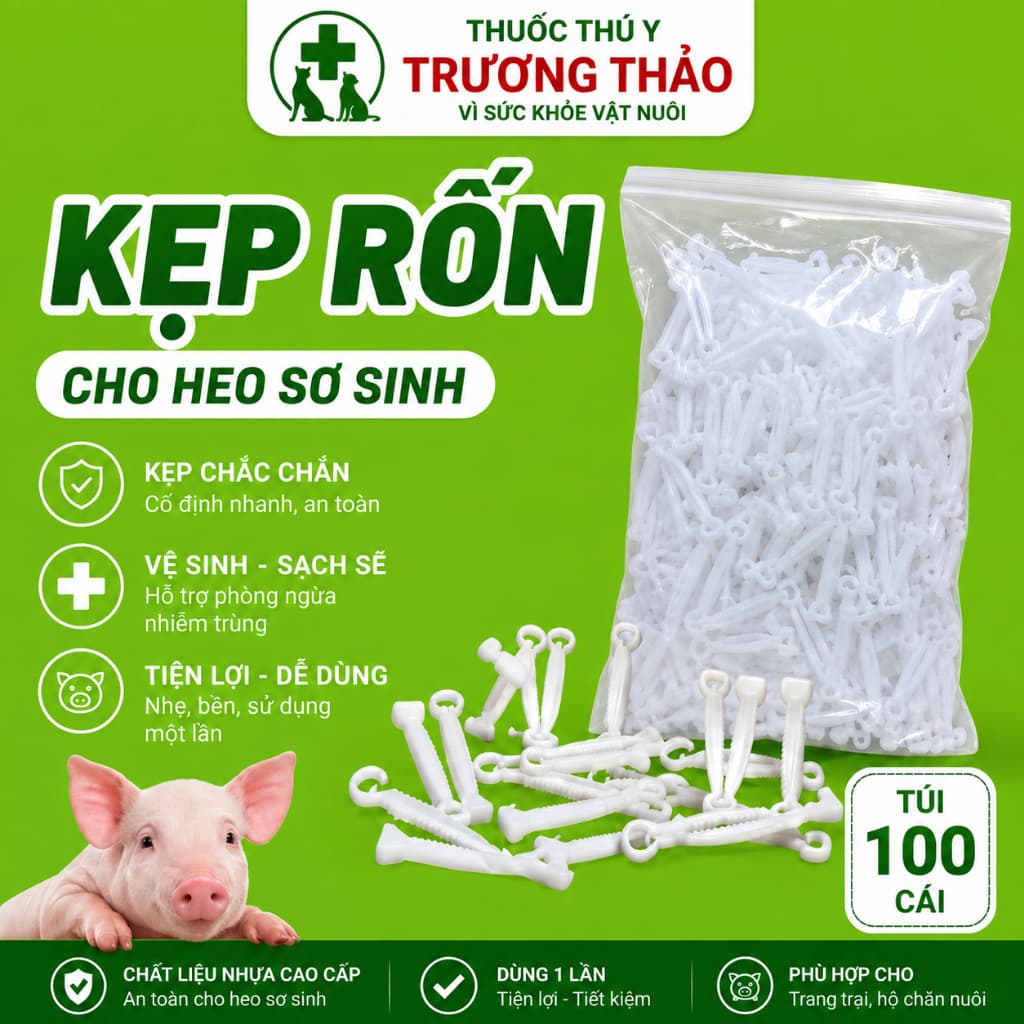 Kẹp rốn heo con nhựa an toàn, bền chắc, tiện lợi