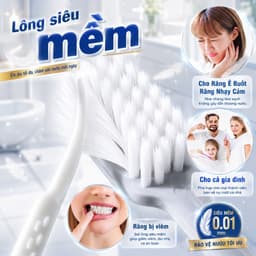 Set 2 đầu thay thế cho đầu bàn chải điện Wisezen TB01 REISONIC H610 Pro Minh House làm sạch răng 5