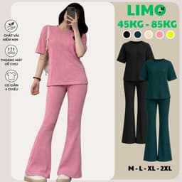 Đồ Bộ Nữ Bigsize LIMO DS68 Áo Tay Ngắn Quần Ống Loe Vải Xốp Co Giãn Set Đồ Mặc Nhà Mùa Hè Basic 1