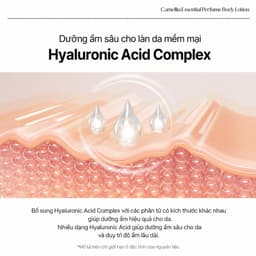 LOUVCELL Sữa dưỡng thể nước hoa hương hoa trà Camellia Essential Perfume Body Lotion 300ml 7