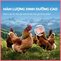 Pate mèo FAENBEI milkshake sữa lắc vị gà gói 85g | Pate chất mềm mịn như kem, dễ ăn hỗ trợ tiêu hóa 4